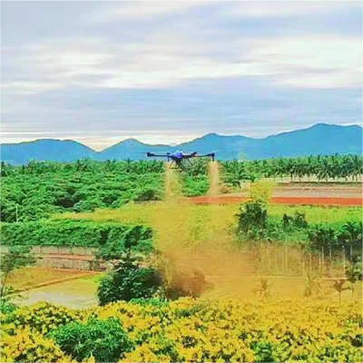 市政園林綠化